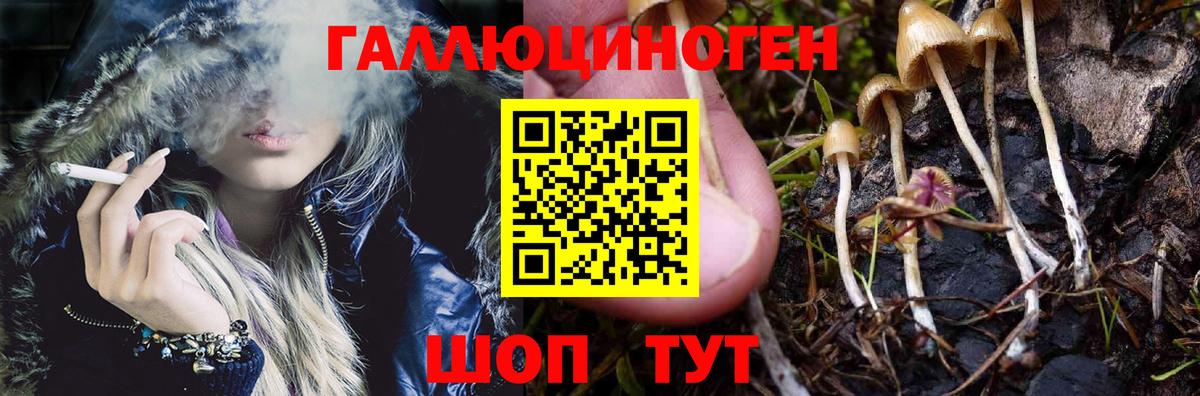 Псилоцибиновые грибы мицелий  Псилоцибиновые грибы ЛСД  Вход с VPN  что такое   Иваново 
